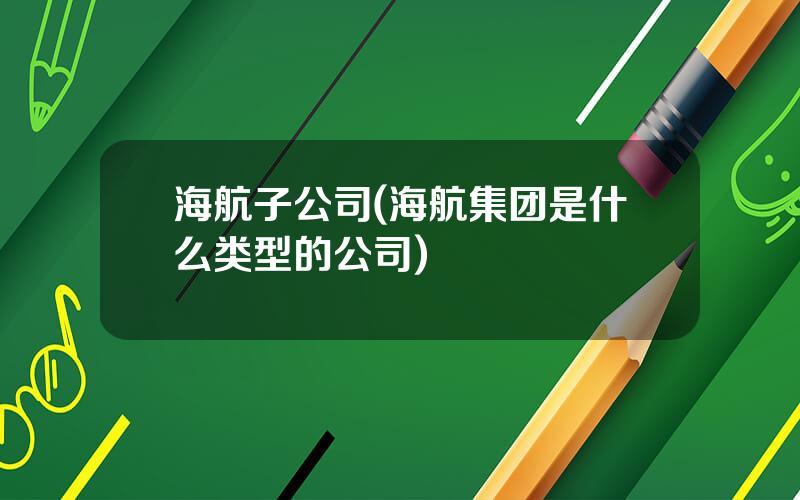 海航子公司(海航集团是什么类型的公司)