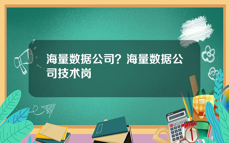 海量数据公司？海量数据公司技术岗