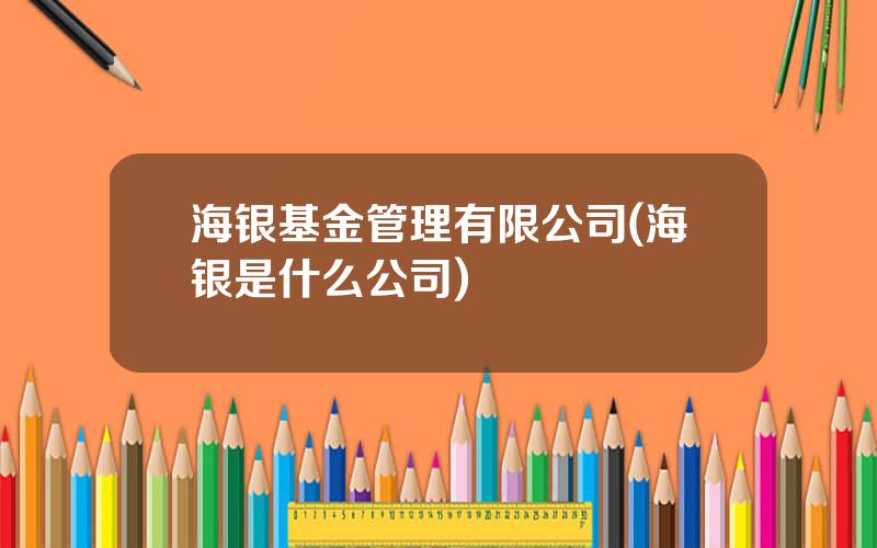 海银基金管理有限公司(海银是什么公司)