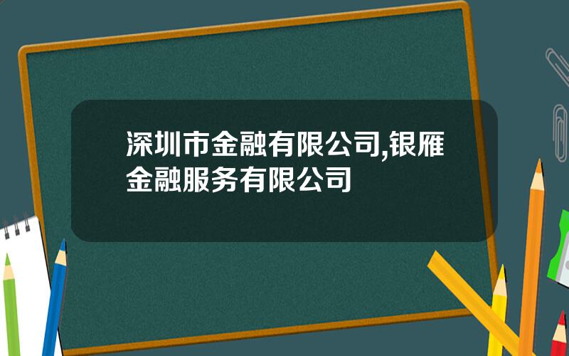 深圳市金融有限公司,银雁金融服务有限公司