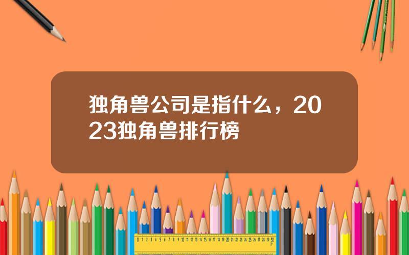 独角兽公司是指什么，2023独角兽排行榜