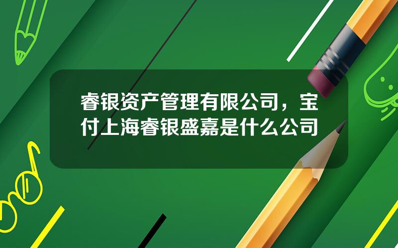 睿银资产管理有限公司，宝付上海睿银盛嘉是什么公司