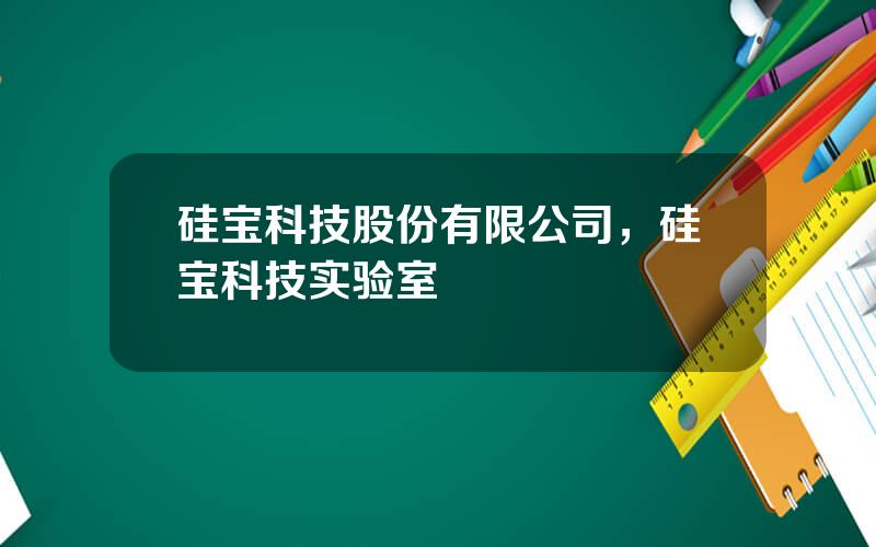 硅宝科技股份有限公司，硅宝科技实验室