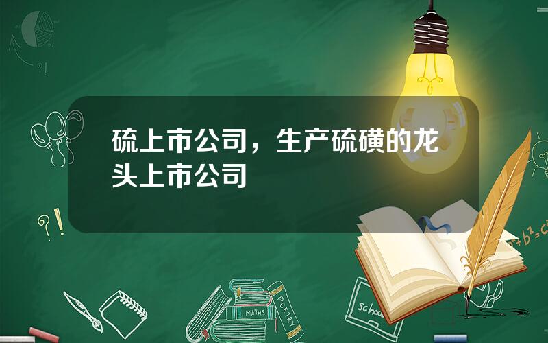 硫上市公司，生产硫磺的龙头上市公司