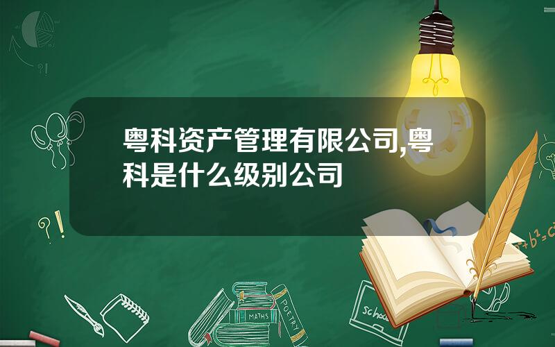 粤科资产管理有限公司,粤科是什么级别公司