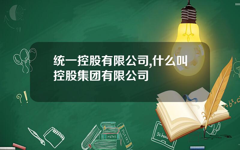 统一控股有限公司,什么叫控股集团有限公司