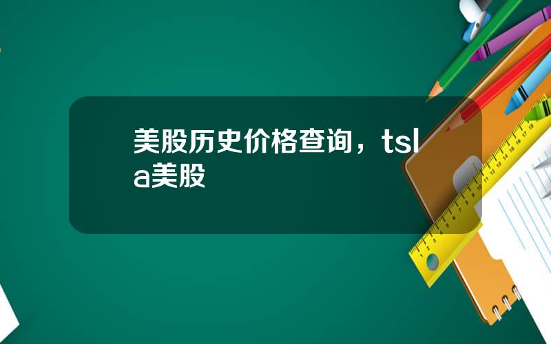 美股历史价格查询，tsla美股