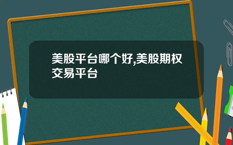 美股平台哪个好,美股期权交易平台