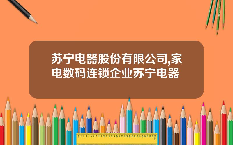 苏宁电器股份有限公司,家电数码连锁企业苏宁电器