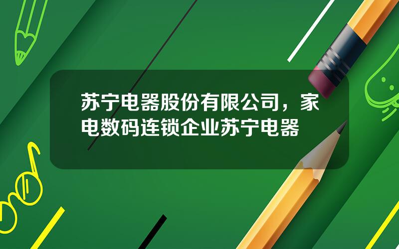 苏宁电器股份有限公司，家电数码连锁企业苏宁电器