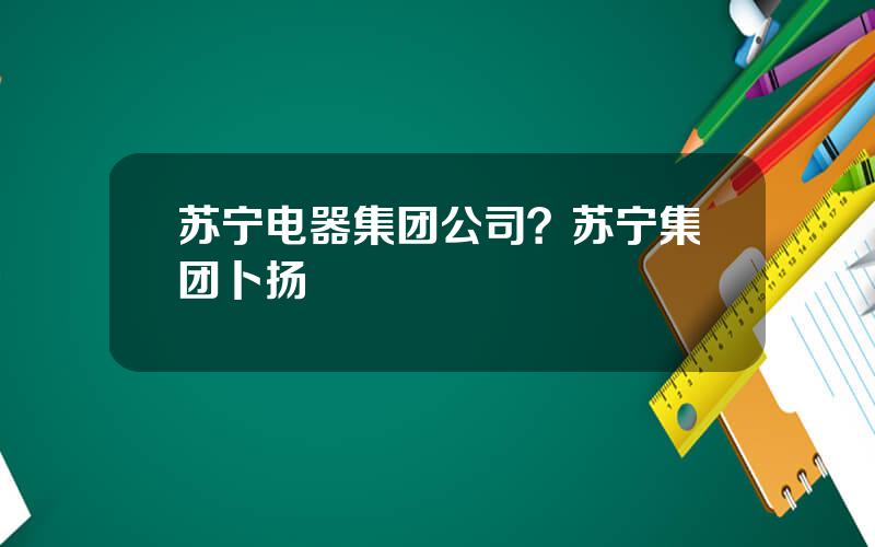 苏宁电器集团公司？苏宁集团卜扬