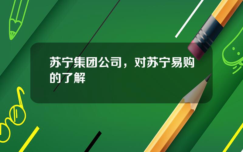 苏宁集团公司，对苏宁易购的了解