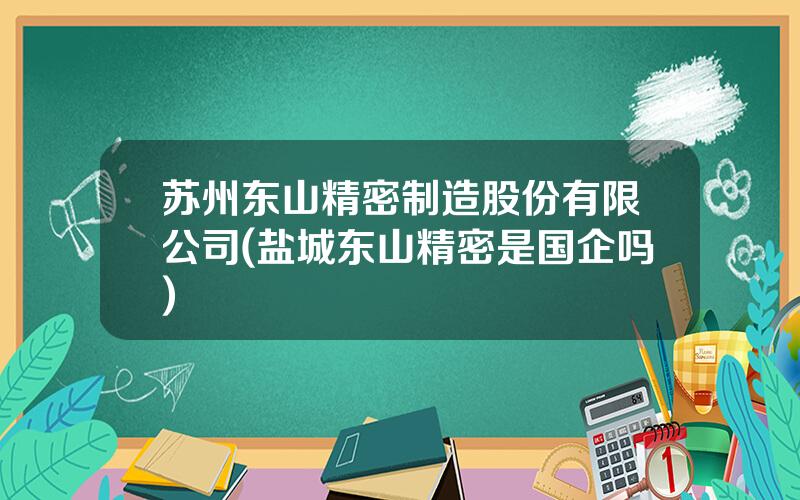 苏州东山精密制造股份有限公司(盐城东山精密是国企吗)