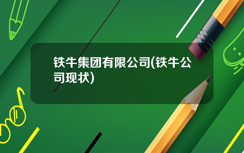 铁牛集团有限公司(铁牛公司现状)