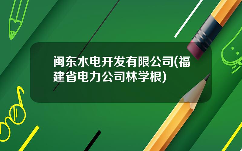 闽东水电开发有限公司(福建省电力公司林学根)